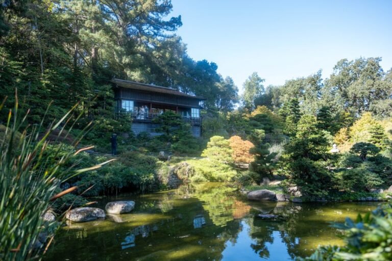 禪心慧眼──「活在當下」的練習